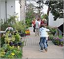 DSC_0107.JPG