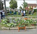 DSC_0119.JPG