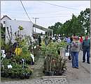 DSC_0238.JPG