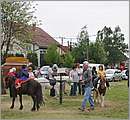 aDSC_9631.JPG