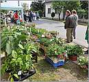 aDSC_9742.JPG