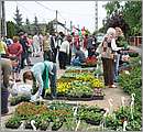 aaDSC_9660.JPG
