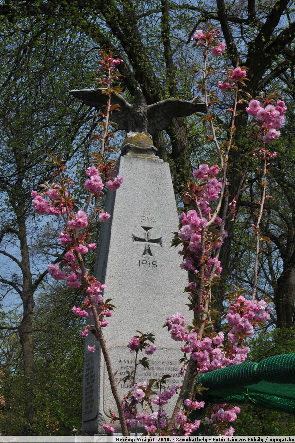 DSC_0050.JPG