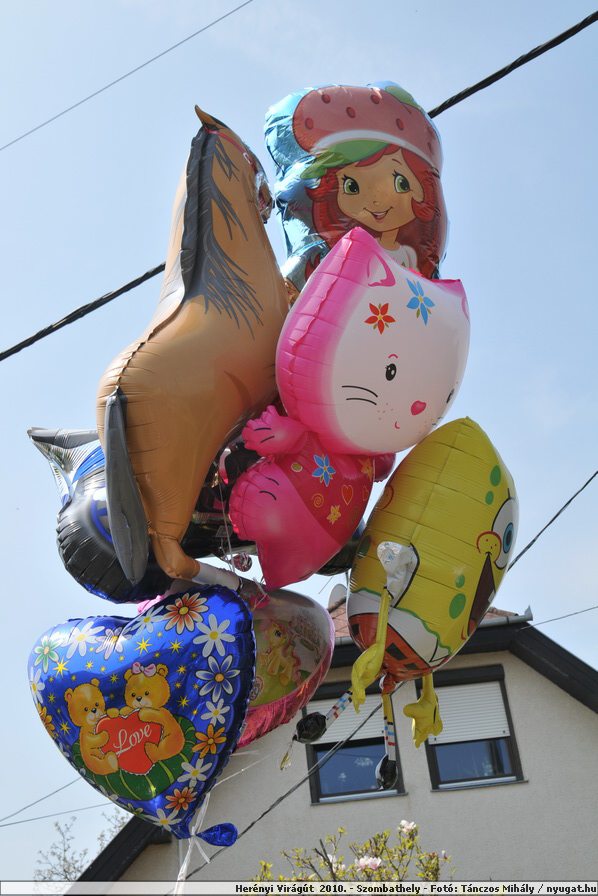 DSC_0154.JPG