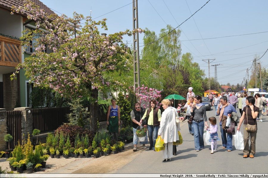 DSC_0318.JPG