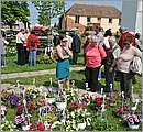 DSC_0036.JPG
