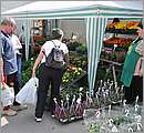 DSC_0041.JPG