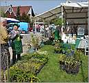 DSC_0116.JPG