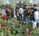 DSC_0123.JPG