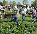 DSC_0134.JPG
