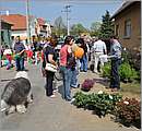 DSC_0146.JPG