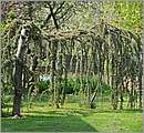 DSC_0209.JPG