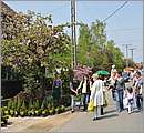 DSC_0318.JPG