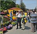 DSC_0353.JPG