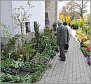 DSC_9998.JPG
