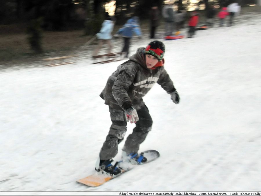 DSC_7463.JPG
