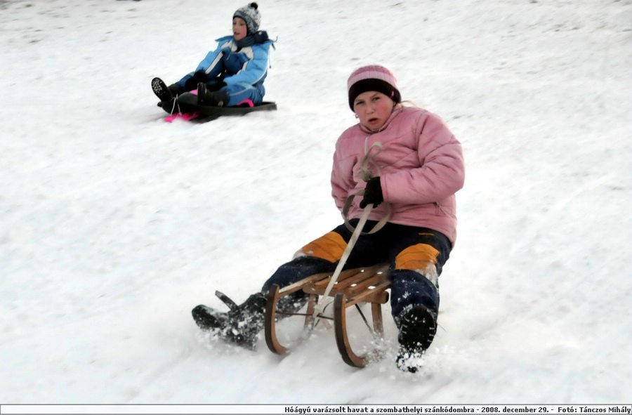 DSC_7477.JPG