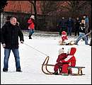 DSC_7207.JPG