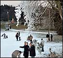 DSC_7275.JPG
