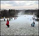 DSC_7293.JPG