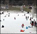 DSC_7313.JPG