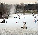 DSC_7316.JPG
