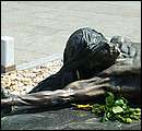 DSCF0967.jpg