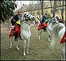 DSCF5121.jpg