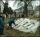 DSCF5146.jpg