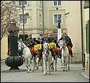 DSCF5193_huszar.jpg