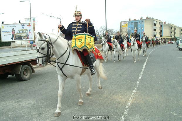 DSCF5081.jpg