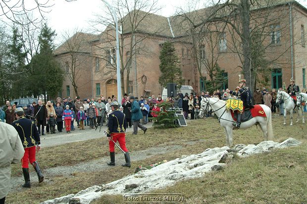 DSCF5159.jpg