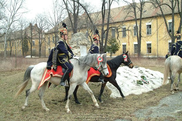 DSCF5167.jpg