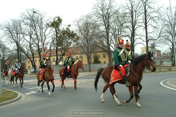 DSCF5175.jpg