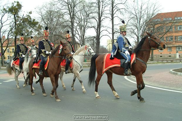 DSCF5178.jpg