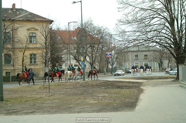 DSCF5190.jpg