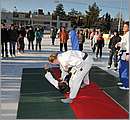 DSC_6033.JPG