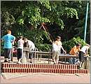 DSC_1849.JPG