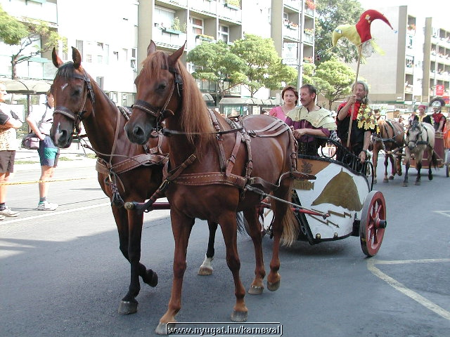 sk2001_tm_605.jpg