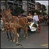 sk2001_tm_567.jpg