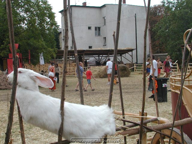 sk2001_tm_103.jpg
