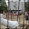 sk2001_tm_103.jpg