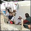 sk2001_tm_409.jpg