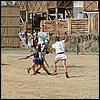 sk2001_tm_320.jpg
