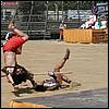 sk2001_tm_355.jpg