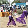 sk2001_tm_360.jpg