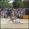 sk2001_tm_376.jpg