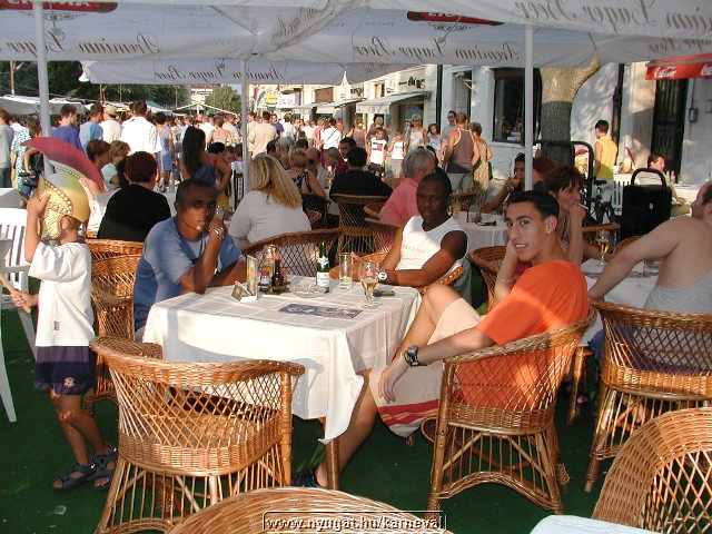 sk2001_tm_506.jpg