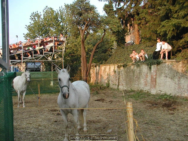 sk2001_tm_516.jpg