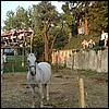 sk2001_tm_516.jpg
